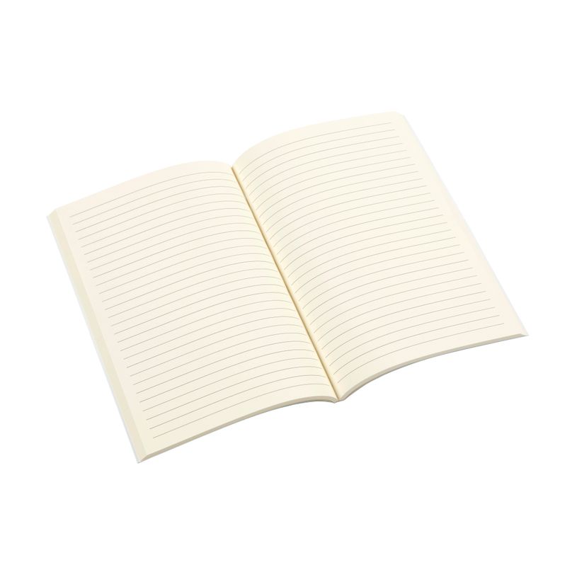 3135252843543-Carnet Lively A5 - ligné - 128 pages - différents modèles disponibles - Viquel-P_405156757_6-5