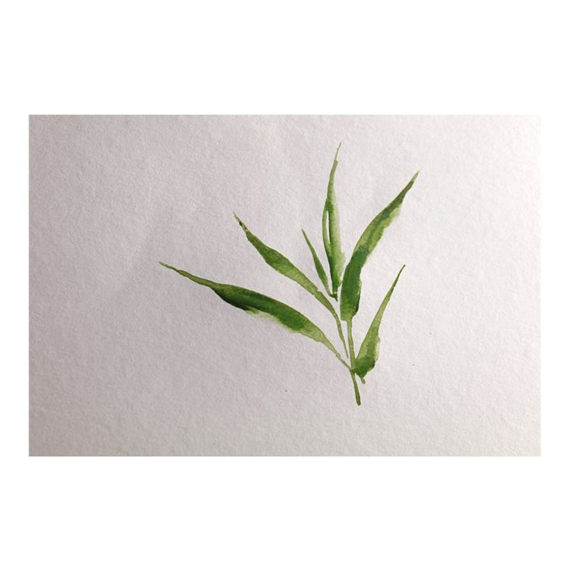 3329689759182-Clairefontaine Bamboo - Bloc encollé aquarelle - 20 feuilles - A5 - 250 gr-P_405158051_2-1