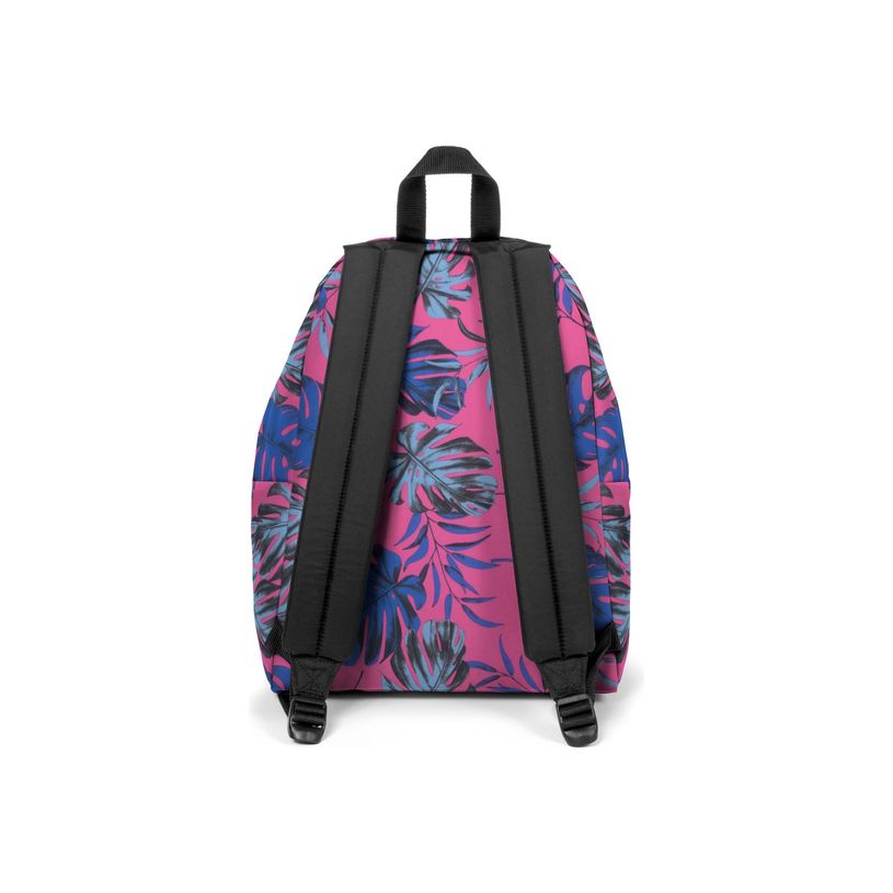 196246678452-EASTPAK Padded Pak'r - Sac à dos - 40 cm - Brize monster-P_405159544_6-3