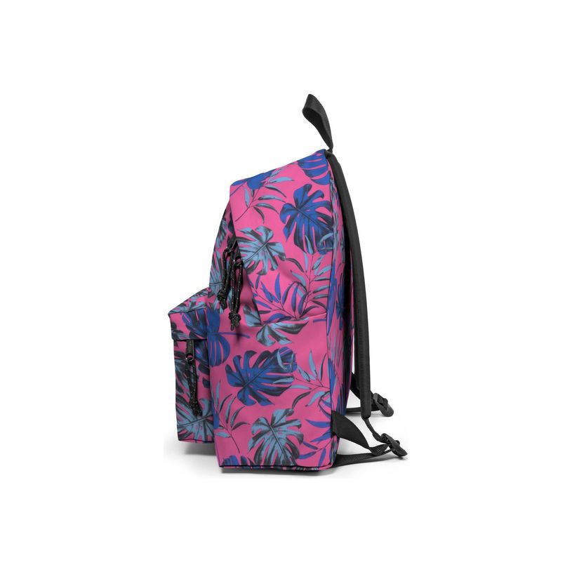 196246678452-EASTPAK Padded Pak'r - Sac à dos - 40 cm - Brize monster-P_405159544_8-4