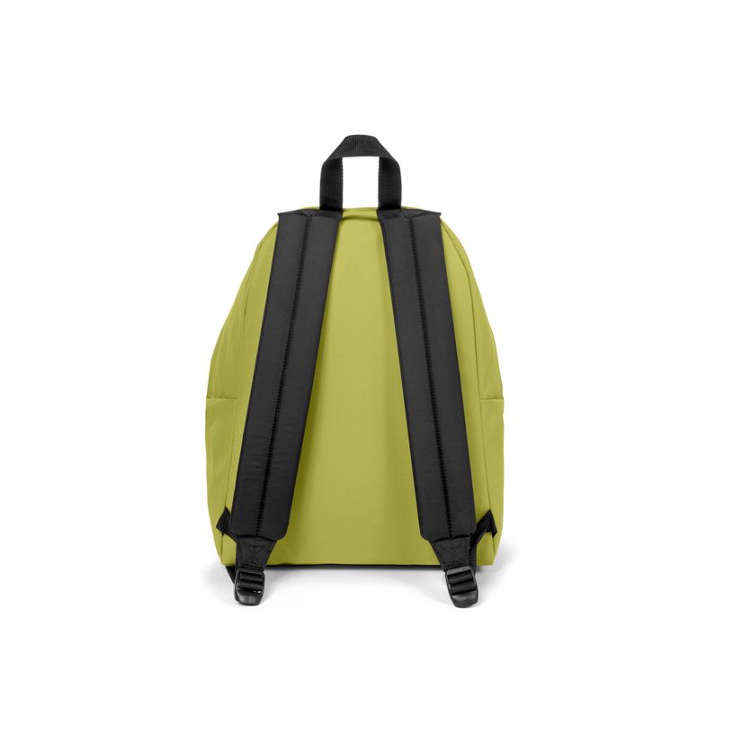 196246678407-EASTPAK Padded Pak'r - Sac à dos - 40 cm - Linked lime-P_405159553_8-3
