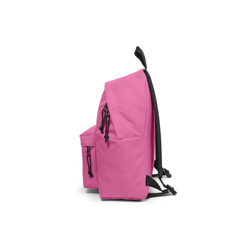 196246678308-EASTPAK Padded Pak'r - Sac à dos - 40 cm - Pink-P_405159562_7-5