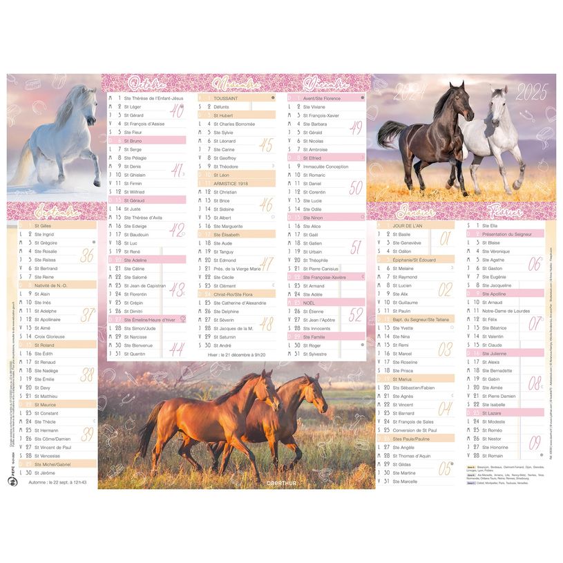 3664447165196-Calendrier Cheval - 6 mois par face - 32 x 42 cm - Oberthur-P_405161981_1-0
