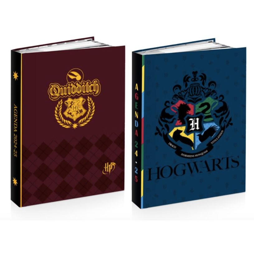 3661507515885-Agenda Harry Potter - 1 jour par page - 12 x 17 cm - Hogwarts ou Gryffindor - Kid'Abord-P_405163672_1-0