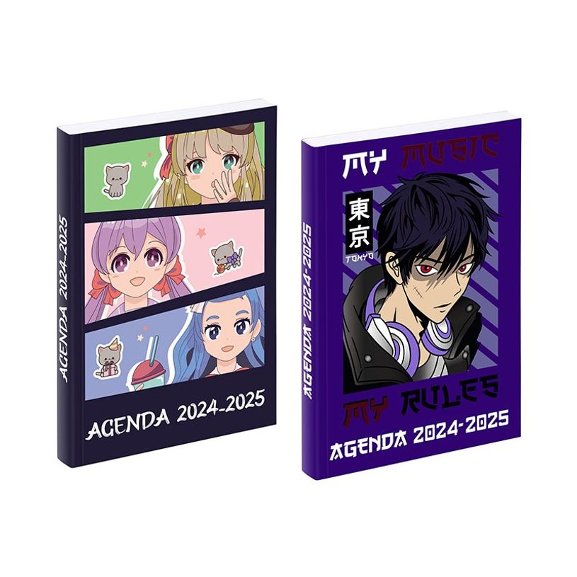 3135257463913-Agenda Manga - 1 jour par page - 11 x 16 cm - différents modèles disponibles - Viquel-P_405165307_1-0