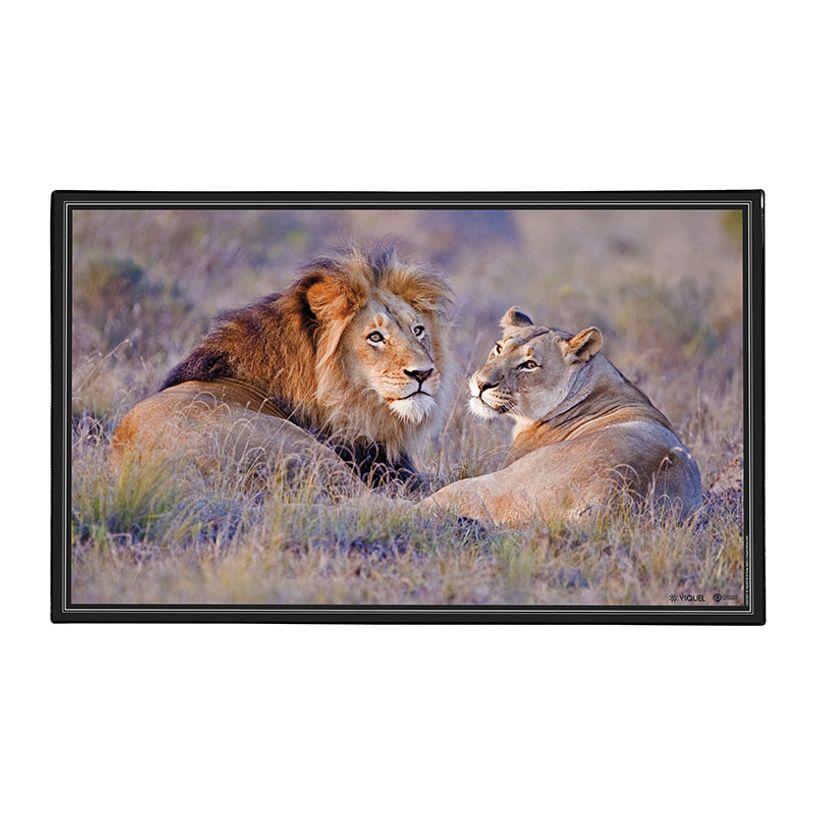 3135251384115-Sous-main Animaux 4 visuels - 59,5 x 36,2 cm - Assortis - Viquel-P_405165376_4-3