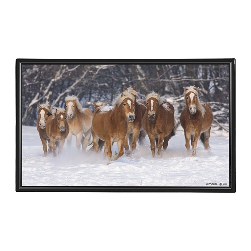 3135251384115-Sous-main Animaux 4 visuels - 59,5 x 36,2 cm - Assortis - Viquel-P_405165376_5-4