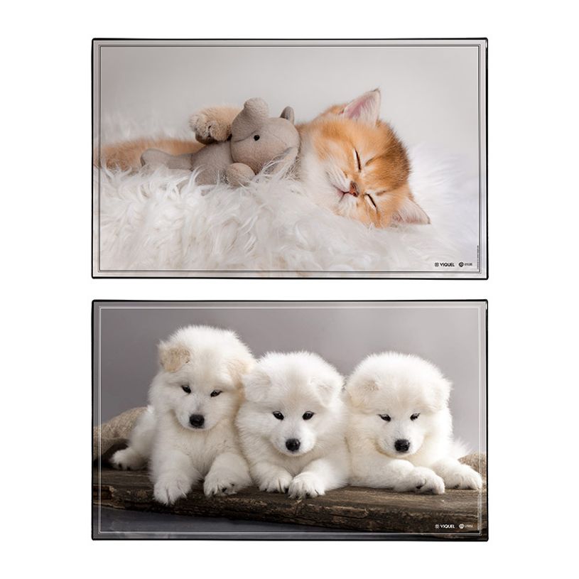 3135251384108-Sous-main Animaux Chaton + Chiots - 59,5 x 36,2 cm - Assortis - Viquel-P_405165377_1-0
