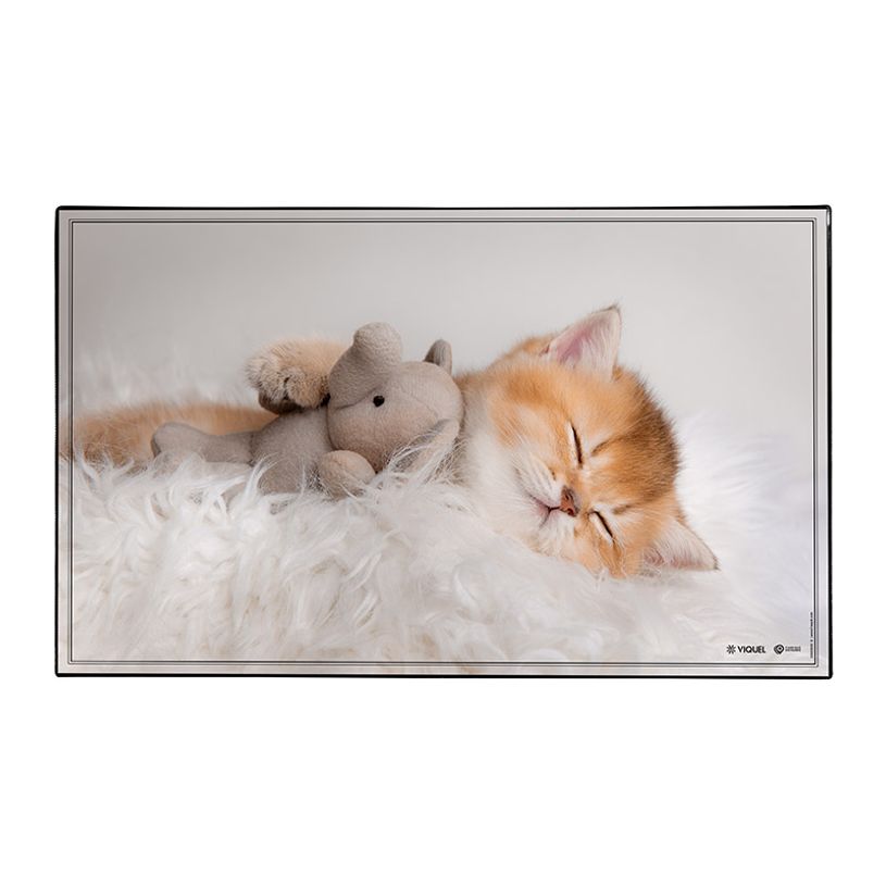 3135251384108-Sous-main Animaux Chaton + Chiots - 59,5 x 36,2 cm - Assortis - Viquel-P_405165377_2-1