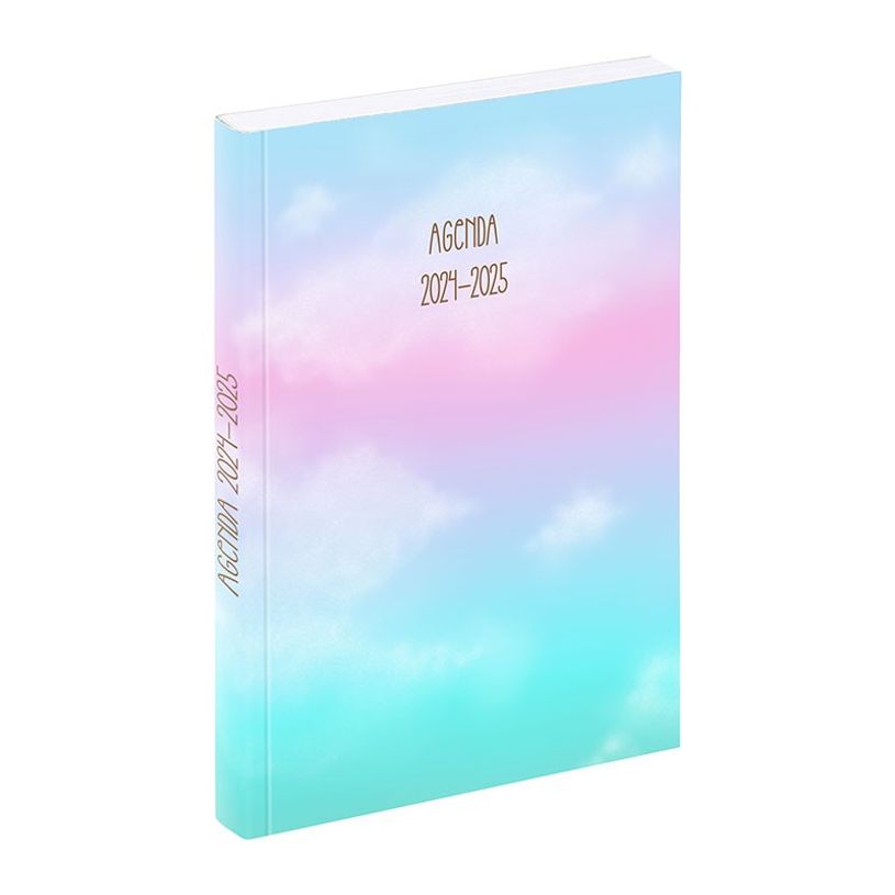 3135250997583-Agenda Cloudy - 1 jour par page - 11 x 16 cm - différents modèles disponibles - Viquel-P_405165428_3-2