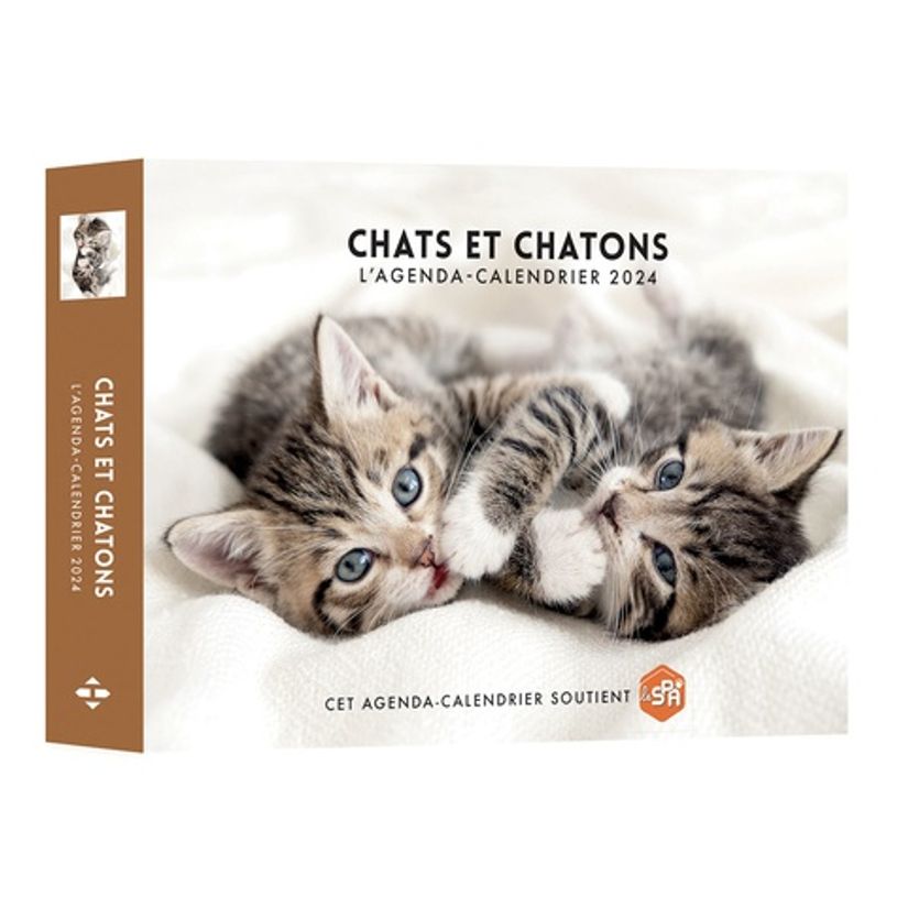 9782755671377-Agenda-Calendrier Chats et Chatons-P_405166313_1-0