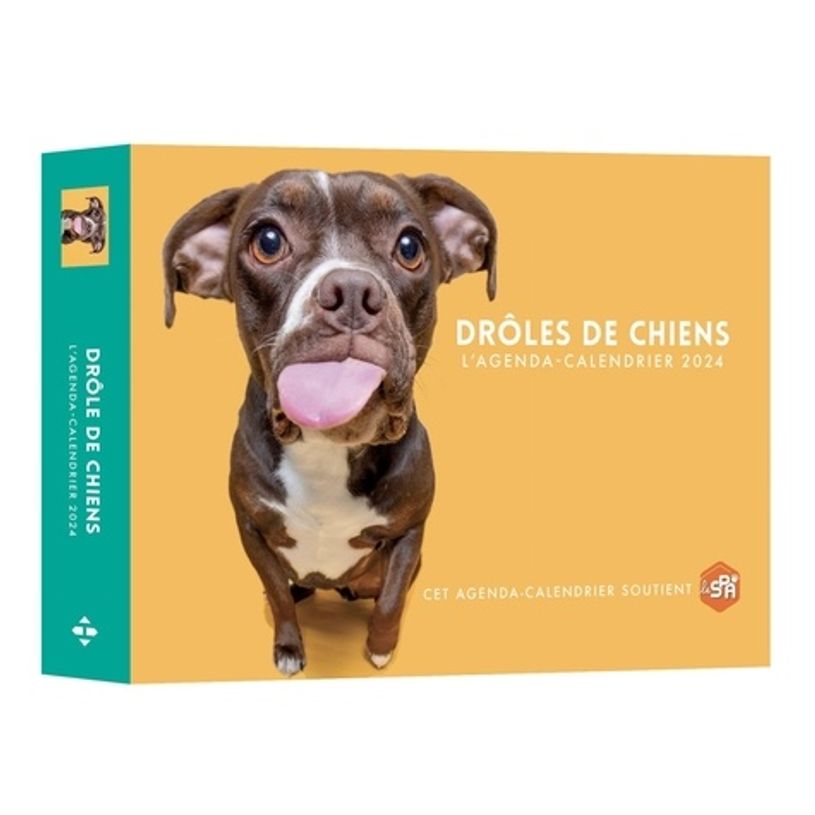 9782755667974-Agenda-Calendrier Drôles de chiens-P_405166314_1-0