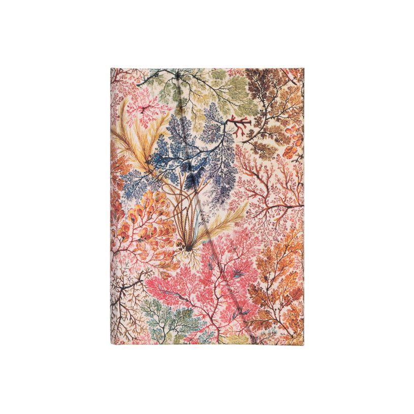 9781439772270-Paperblanks - Carnet de notes - 18 x 23 cm - 144 pages - ligné - anemone multicolore-P_405167011_2-0