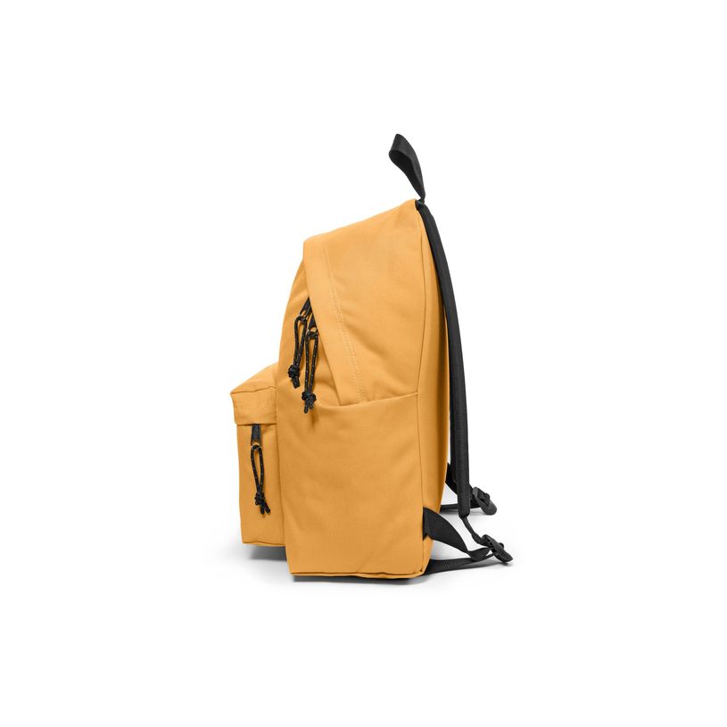 196011842507-EASTPAK Padded Pak'r - Sac à dos - 40 cm - Arena Gold-P_405177171_10-6