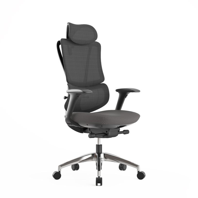 3760185021234-Fauteuil de bureau ERGOSTAR Ultra - accoudoirs réglables - Appui-tête réglable - noir-P_405181438_1-0