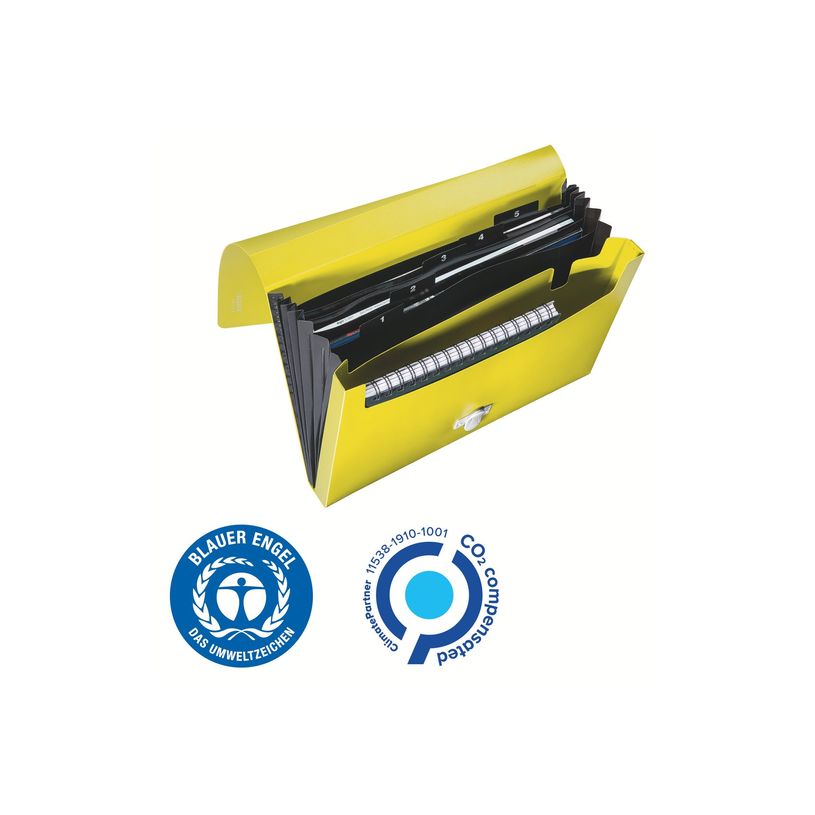 4002432130511-Leitz Recycle - Trieur à soufflet - 5 positions - A4 - pour 250 feuilles - à onglets - j-P_405181473_2-6