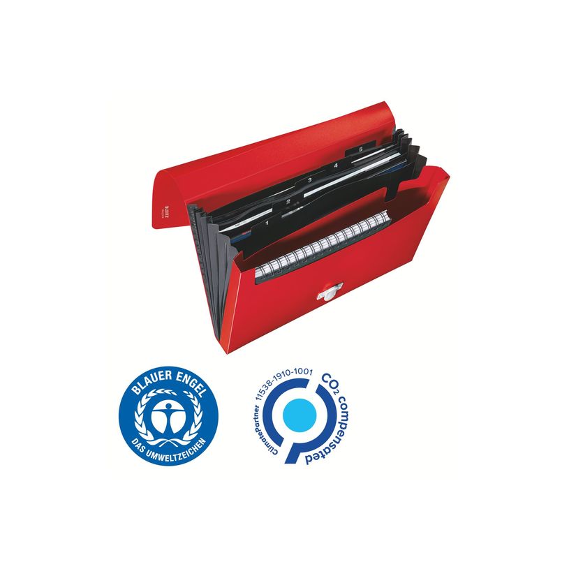 4002432130528-Leitz Recycle - Trieur à soufflet - 5 positions - A4 - pour 250 feuilles - à onglets - r-P_405181474_2-8