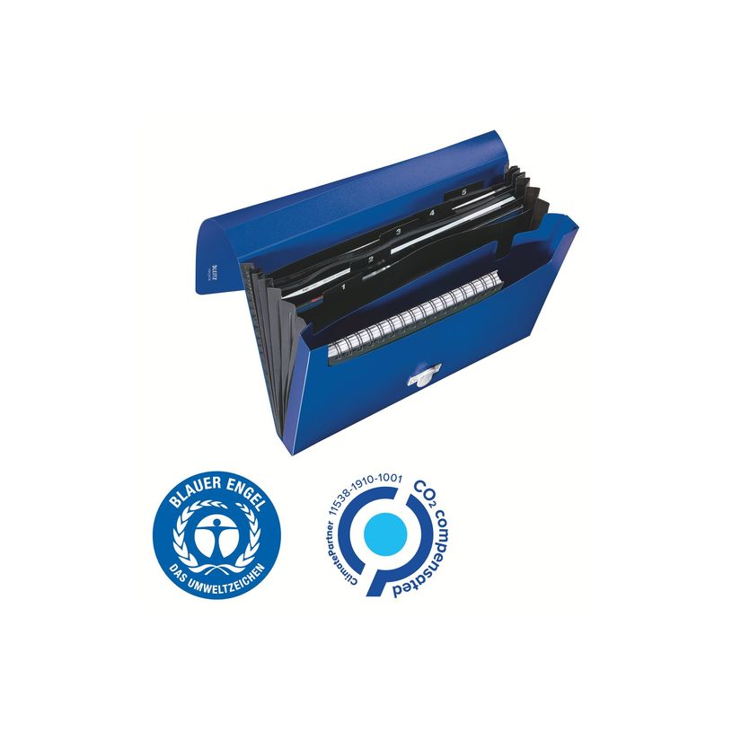 4002432130535-Leitz Recycle - Trieur à soufflet - 5 positions - A4 - pour 250 feuilles - à onglets - b-P_405181475_2-7