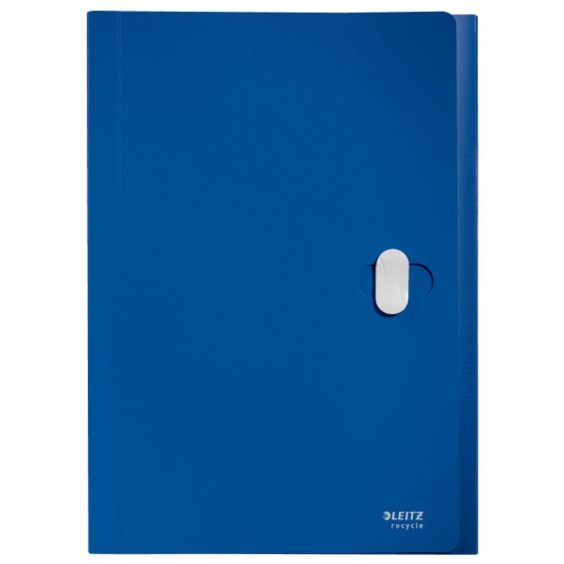 4002432130535-Leitz Recycle - Trieur à soufflet - 5 positions - A4 - pour 250 feuilles - à onglets - b-P_405181475_5-2