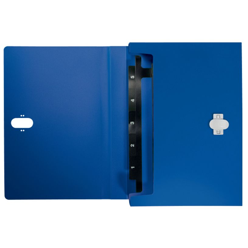 4002432130535-Leitz Recycle - Trieur à soufflet - 5 positions - A4 - pour 250 feuilles - à onglets - b-P_405181475_7-4