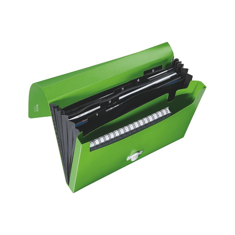 4002432130542-Leitz Recycle - Trieur à soufflet - 5 positions - A4 - pour 250 feuilles - à onglets - v-P_405181476_1-6