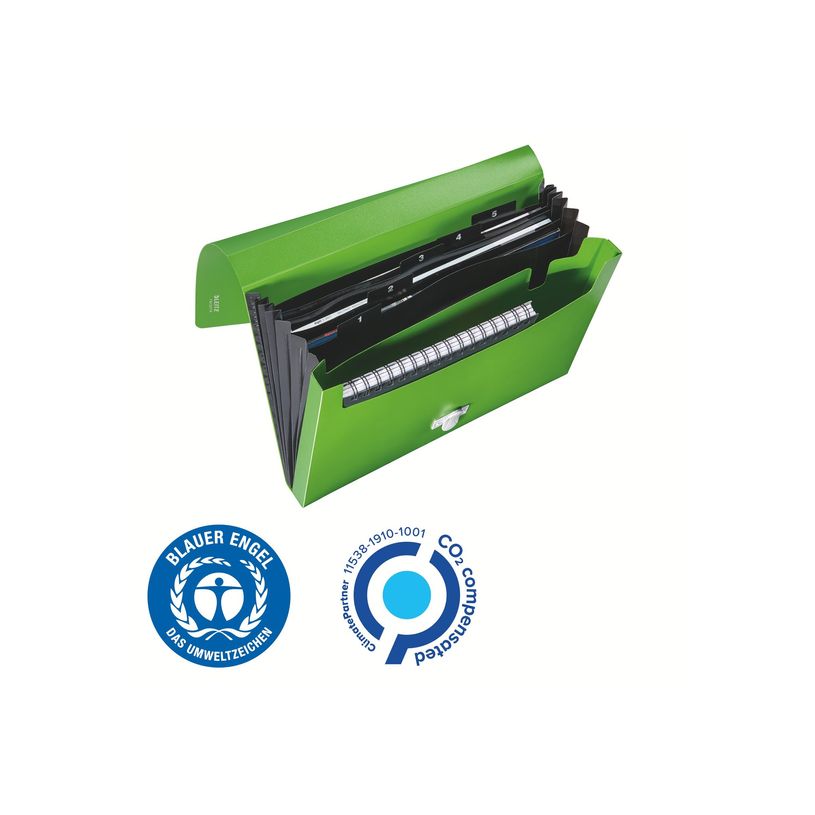 4002432130542-Leitz Recycle - Trieur à soufflet - 5 positions - A4 - pour 250 feuilles - à onglets - v-P_405181476_2-7