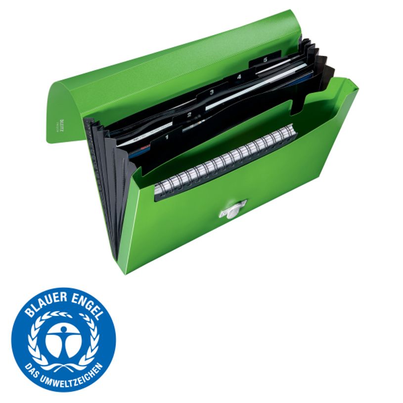 4002432130542-Leitz Recycle - Trieur à soufflet - 5 positions - A4 - pour 250 feuilles - à onglets - v-P_405181476_6-2