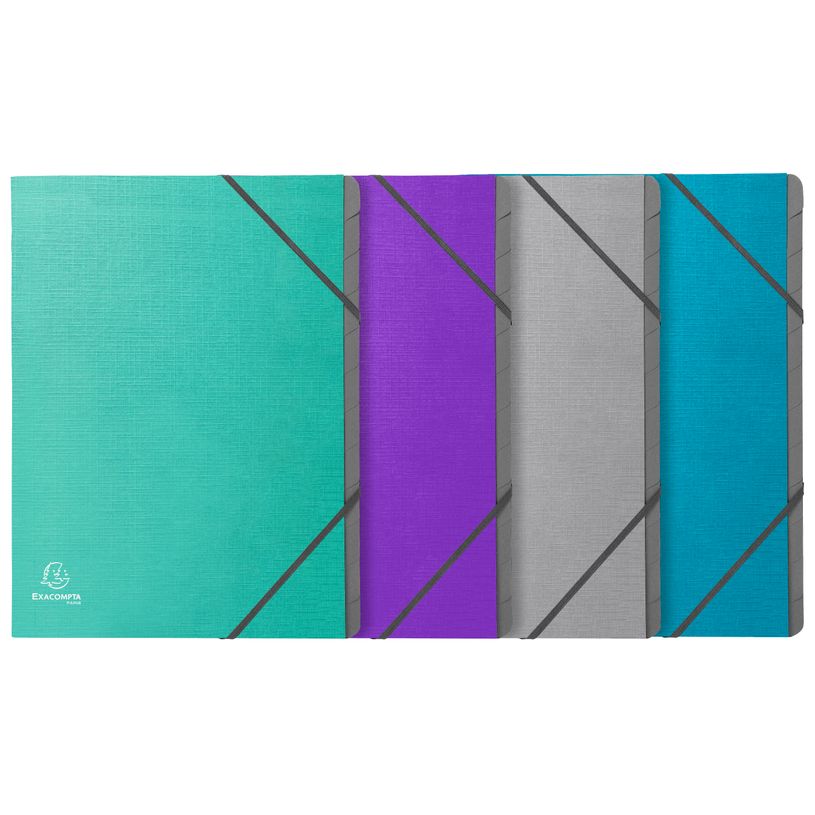 3130633566509-Exacompta Teksto - Trieur 12 positions - A4 - disponible dans différentes couleurs-P_405183799_1-0