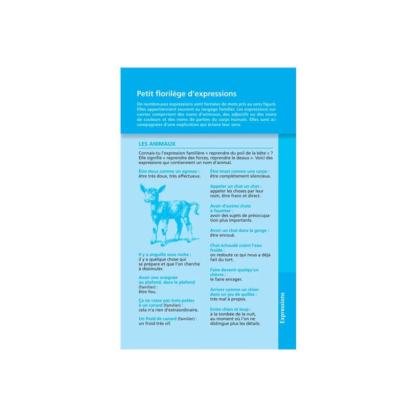 9782036068759-Le dictionnaire Larousse Junior poche - CE / CM-P_405184148_1-0
