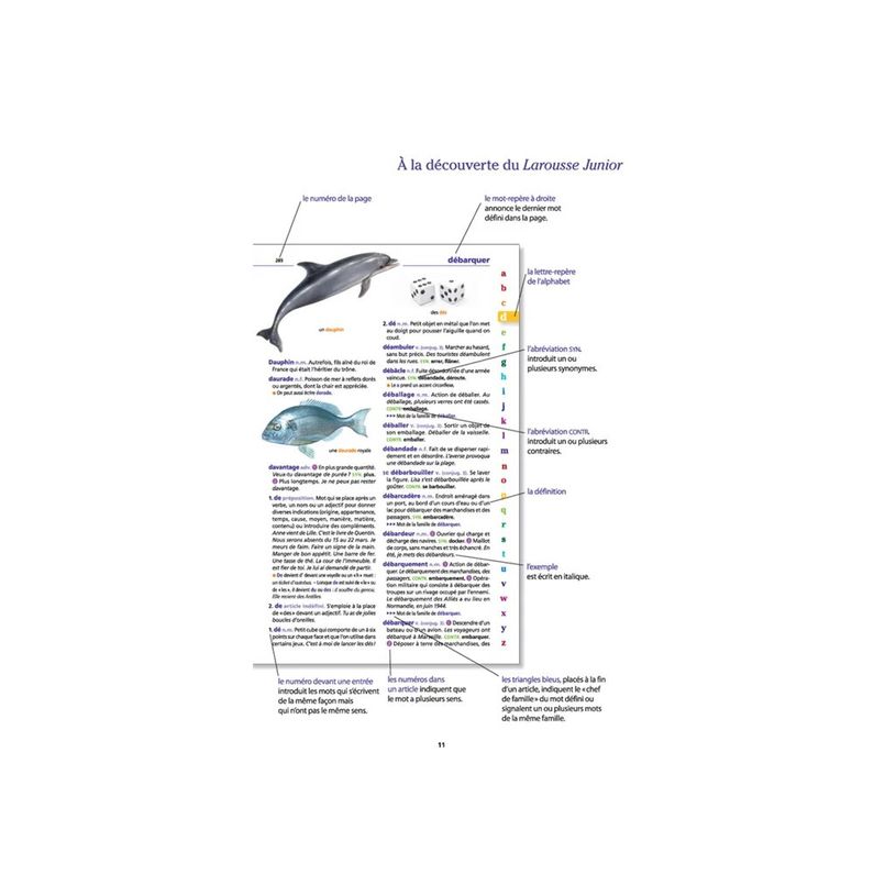 9782036068735-Le dictionnaire Larousse Junior et son dictionnaire en ligne - CE / CM-P_405184149_11-10