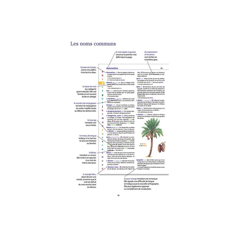 9782036068735-Le dictionnaire Larousse Junior et son dictionnaire en ligne - CE / CM-P_405184149_2-2