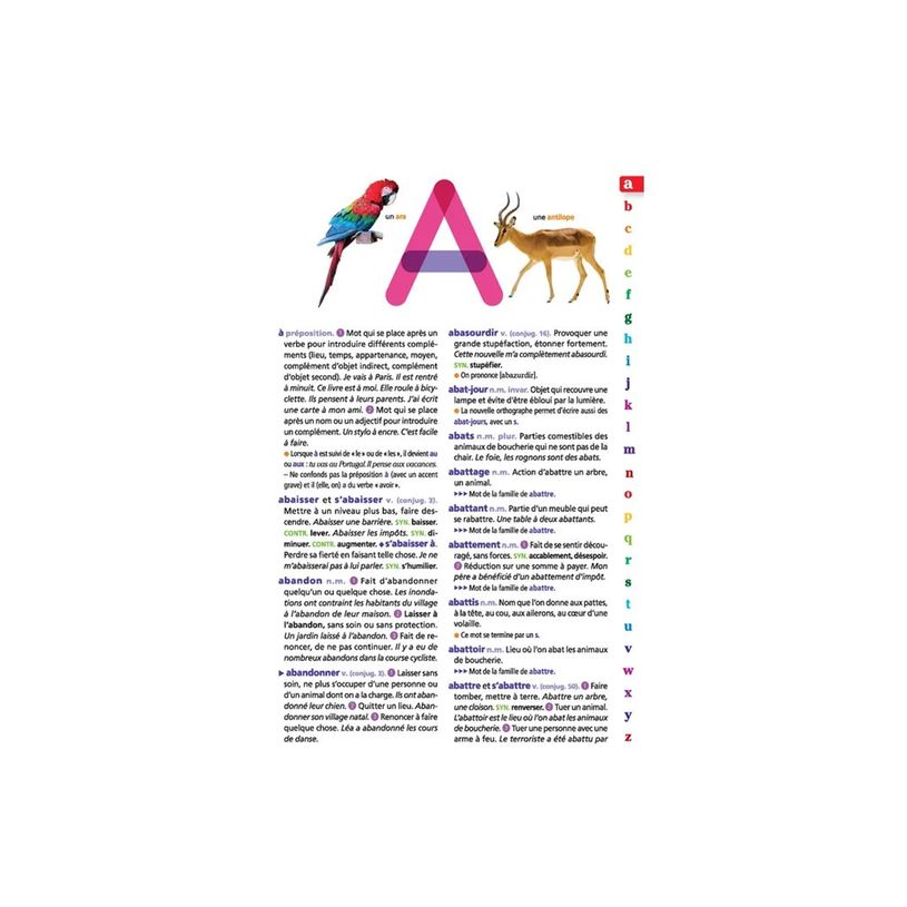 9782036068735-Le dictionnaire Larousse Junior et son dictionnaire en ligne - CE / CM-P_405184149_3-3