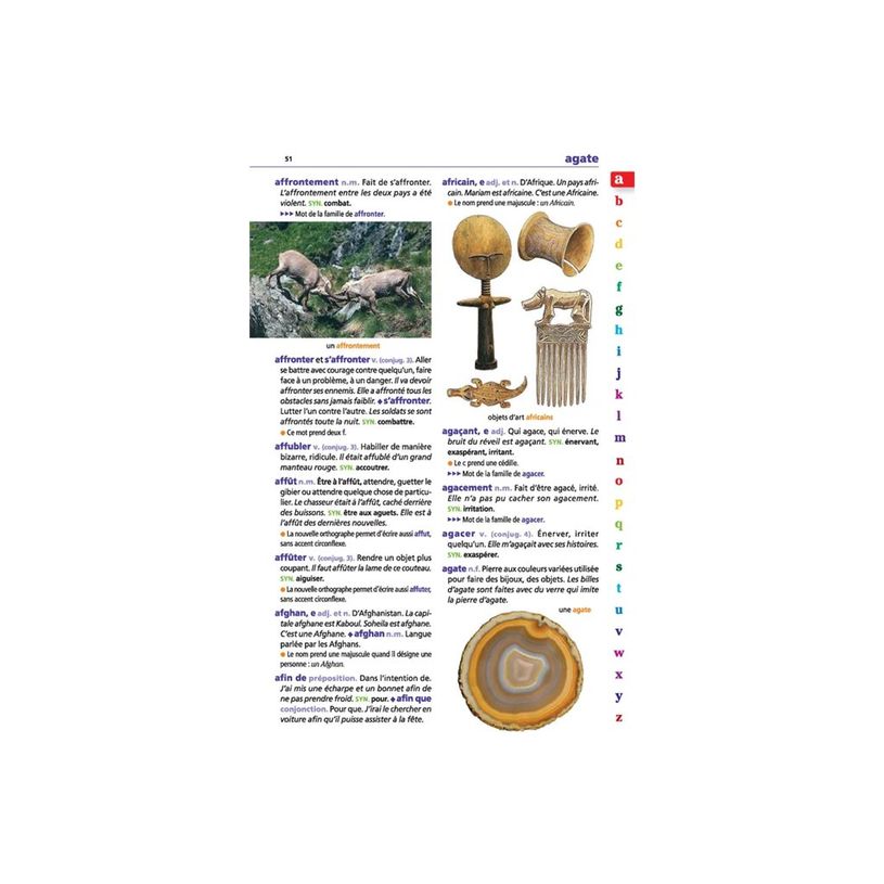 9782036068735-Le dictionnaire Larousse Junior et son dictionnaire en ligne - CE / CM-P_405184149_8-7