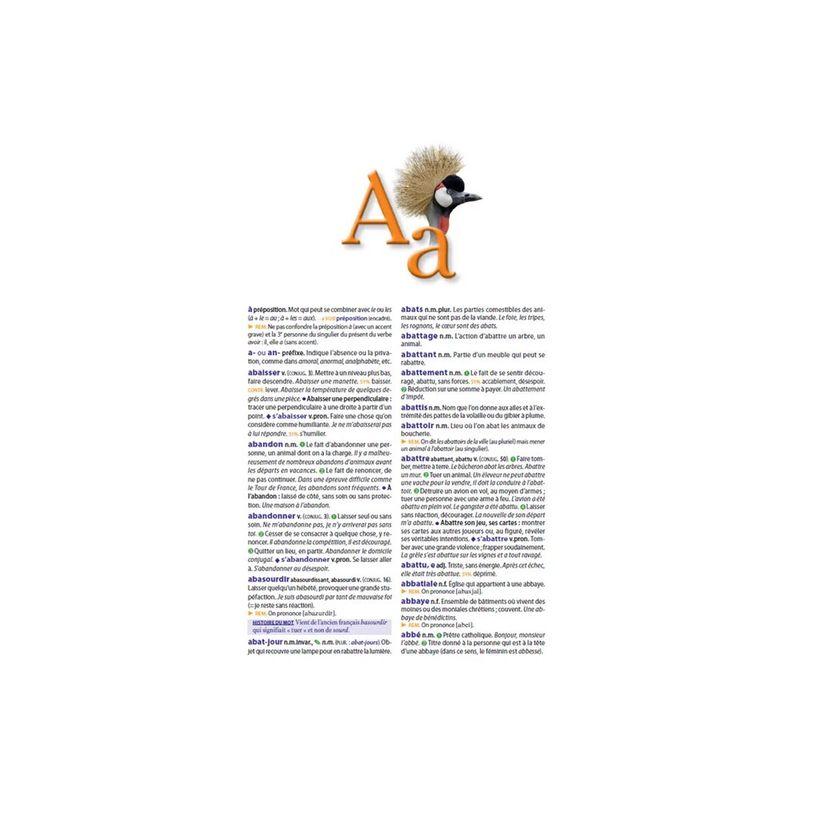 9782036068537-Le dictionnaire Larousse Super Major - CM / 6e-P_405184154_3-2