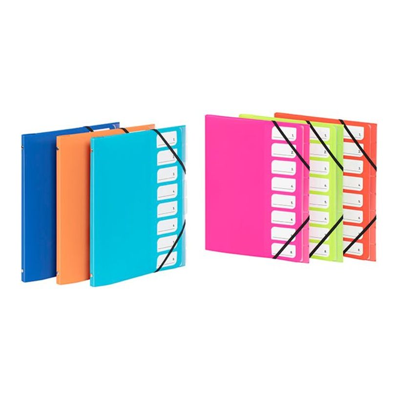 3135259954143-Viquel Feel'easy - Trieur 8 positions - A4 - à onglets - disponible dans différentes cou-P_405184232_1-0