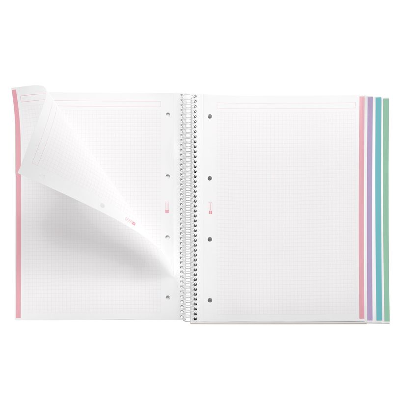 8422593040829-Notebook Aurora, Couverture souple, A4, quadrillage 5x5 mm, 120 feuilles de 4 couleurs, Miquelrius, San--2