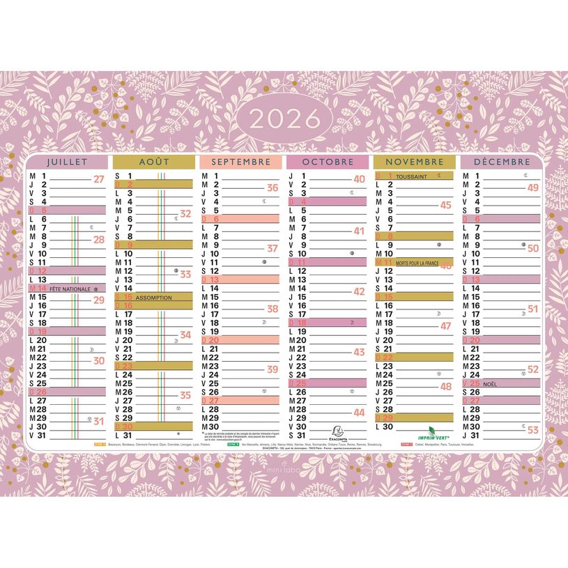 3660942086653-Calendrier illustré Mini Labo - 6 mois par face - 17 x 13 cm - Exacompta--1