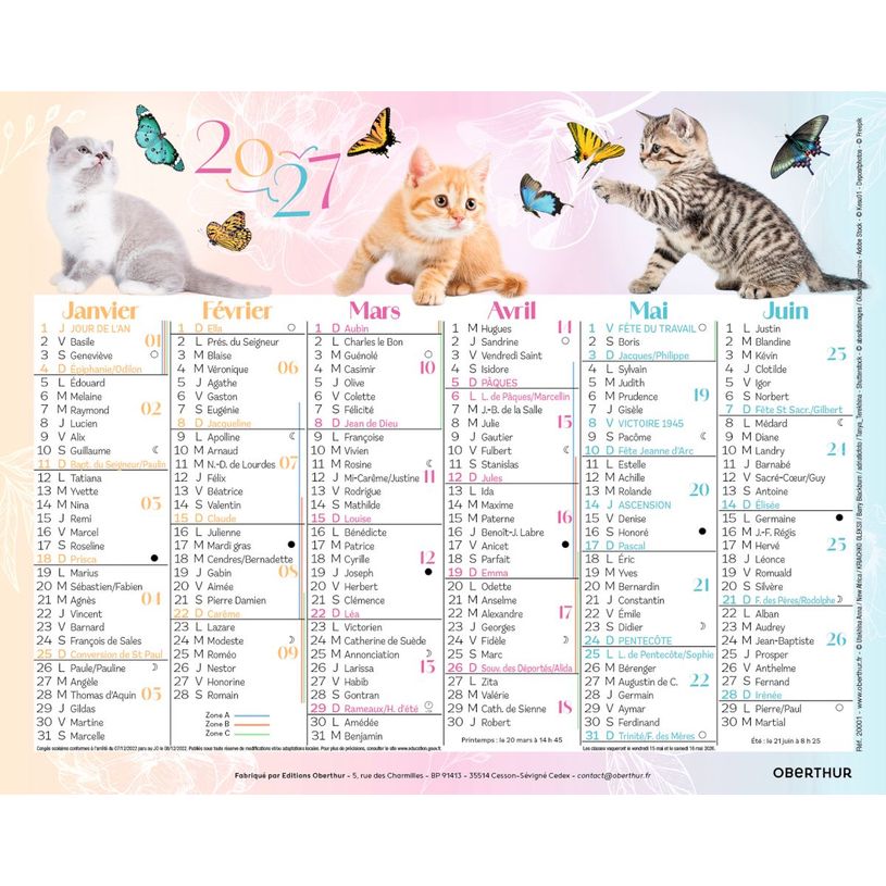3664447231686-Mini calendrier illustré - 6 mois par face - 13,5 x 17,5 cm - différents modèles disponibles - Obert--0