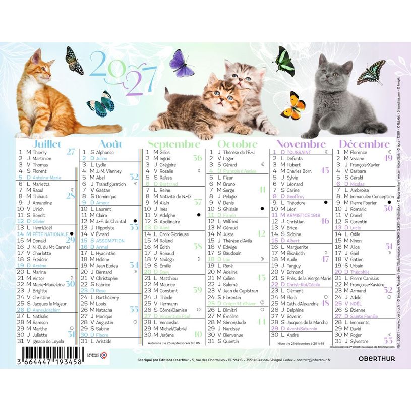3664447231686-Mini calendrier illustré - 6 mois par face - 13,5 x 17,5 cm - différents modèles disponibles - Obert--1