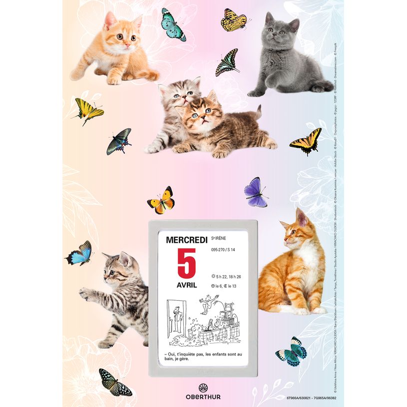 3664447209388-Oberthur - Plaque nova avec bloc éphéméride illustrée - 18 x 26 cm - disponible dans différents mo--0