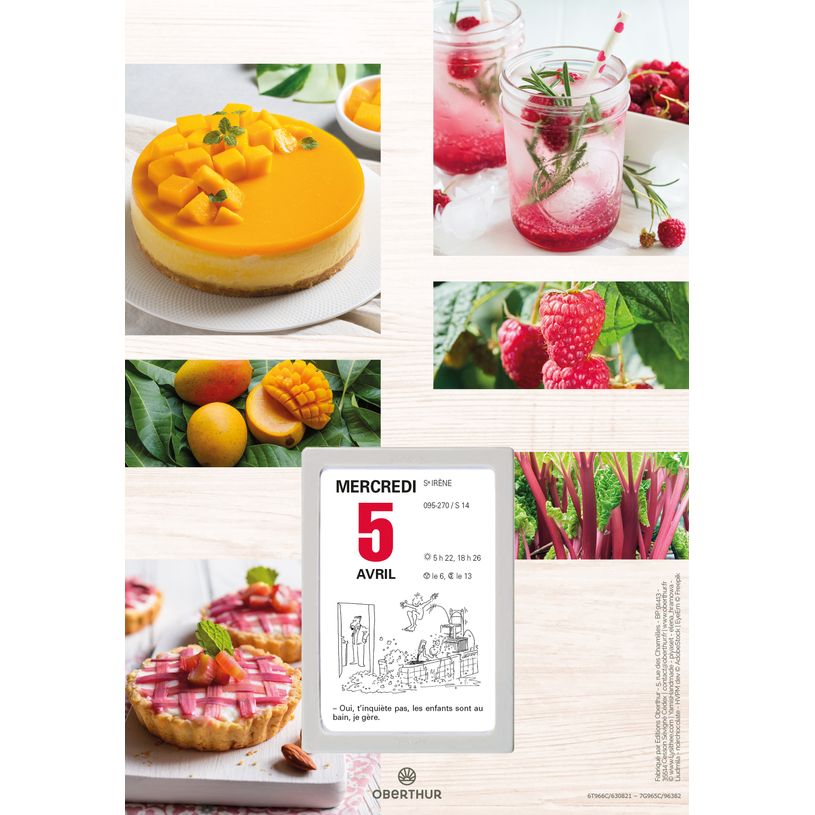 3664447209388-Oberthur - Plaque nova avec bloc éphéméride illustrée - 18 x 26 cm - disponible dans différents mo--1