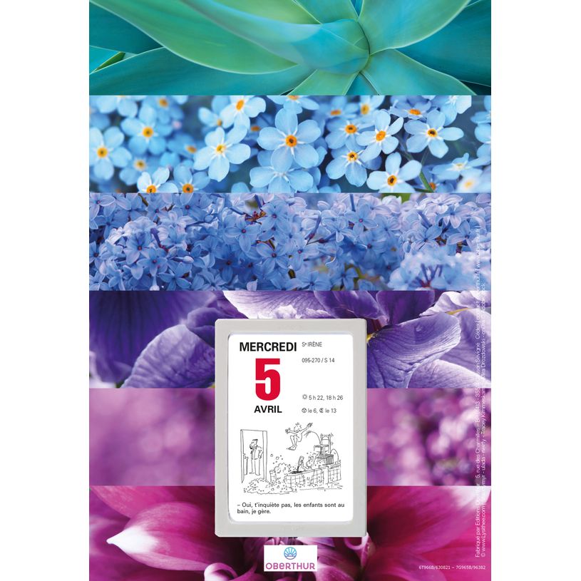 3664447209388-Oberthur - Plaque nova avec bloc éphéméride illustrée - 18 x 26 cm - disponible dans différents mo--3