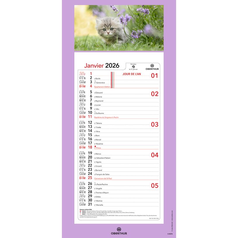 3664447209982-Calendrier mensuel en papier sur plaque illustrée - 16 x 33 cm - différents modèles disponibles - Ob--3