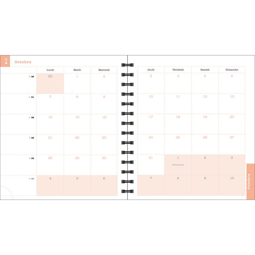 3660942085953-Exacompta Sophie Adde Lady - Agenda 15 x 17 cm - 2025 - semainier - reliure à anneaux métalliques - 18S - 150 x 1-P_405186226_12-11