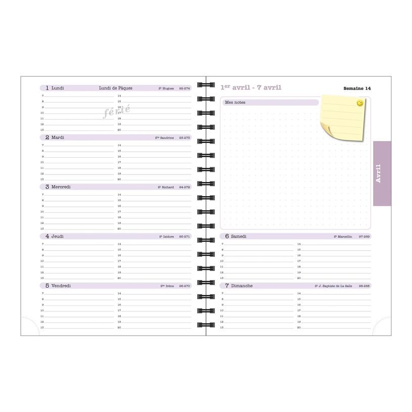 3660942086141-Agenda de bureau Sophie Adde Lady 20S spiralé - 1 semaine sur 2 pages - 15 x 21 cm - Oise-P_405186230_3-7
