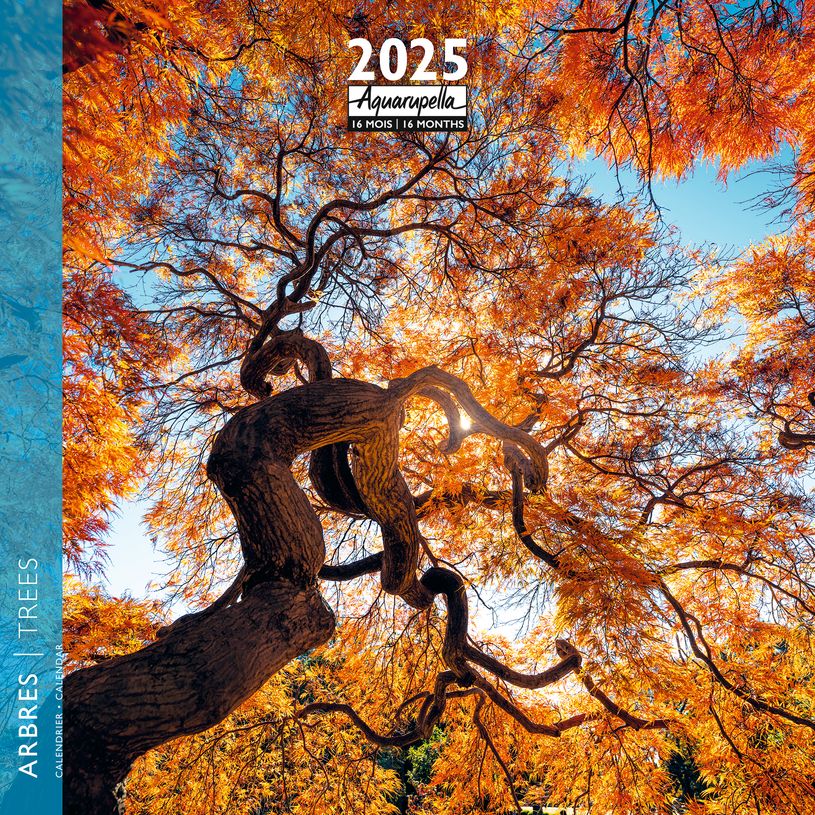 3494150160153-Calendrier mensuel 30x30 cm - 16 mois - Arbres-P_405186506_1-0