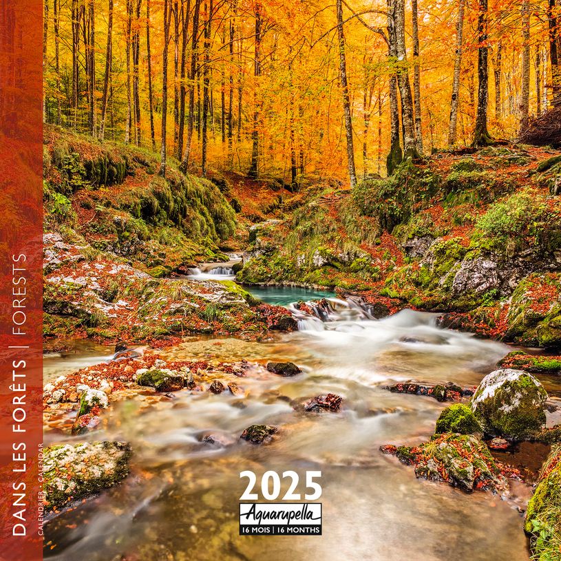 3494150160320-Calendrier mensuel 30x30 cm - 16 mois - Dans les forêts-P_405186523_1-0