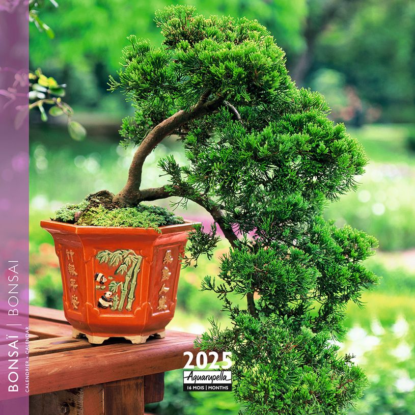 3494150160801-Calendrier mensuel 16x16 cm - 16 mois - Bonsaï-P_405186565_1-0