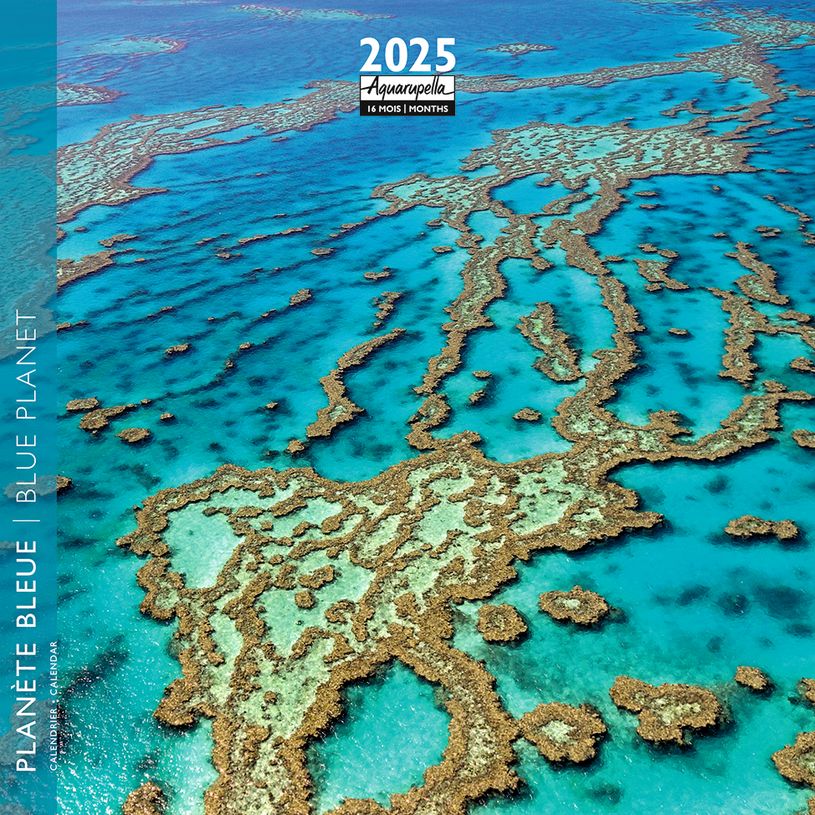 3494150161044-Calendrier mensuel 16x16 cm - 16 mois - Planète bleue-P_405186585_1-0