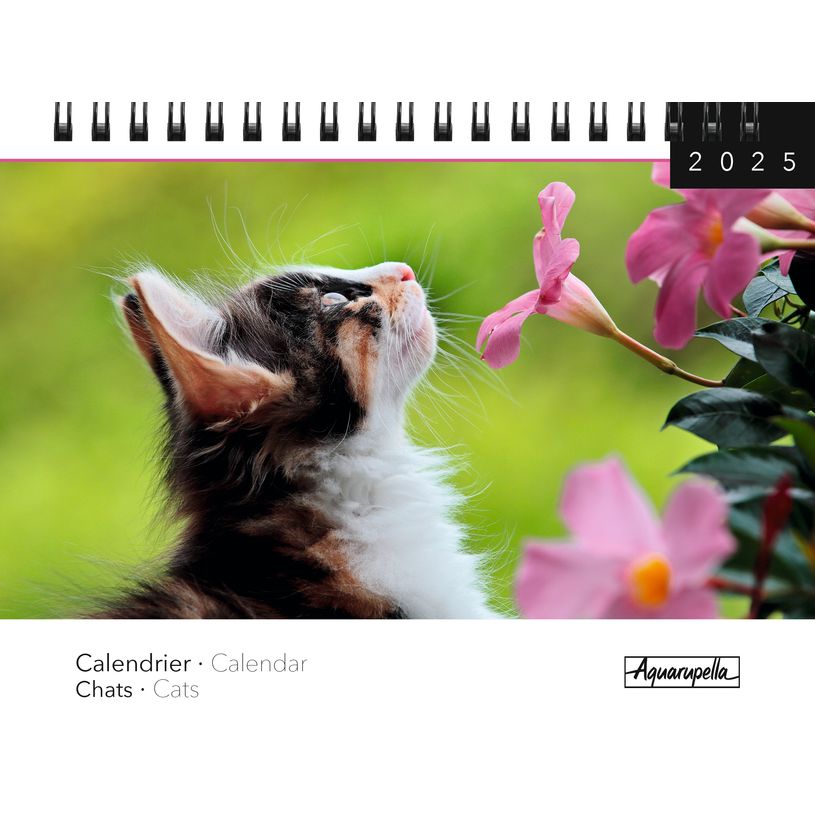 3494150161365-Calendrier mensuel à spirales 16x18 cm - Chats-P_405186593_1-0